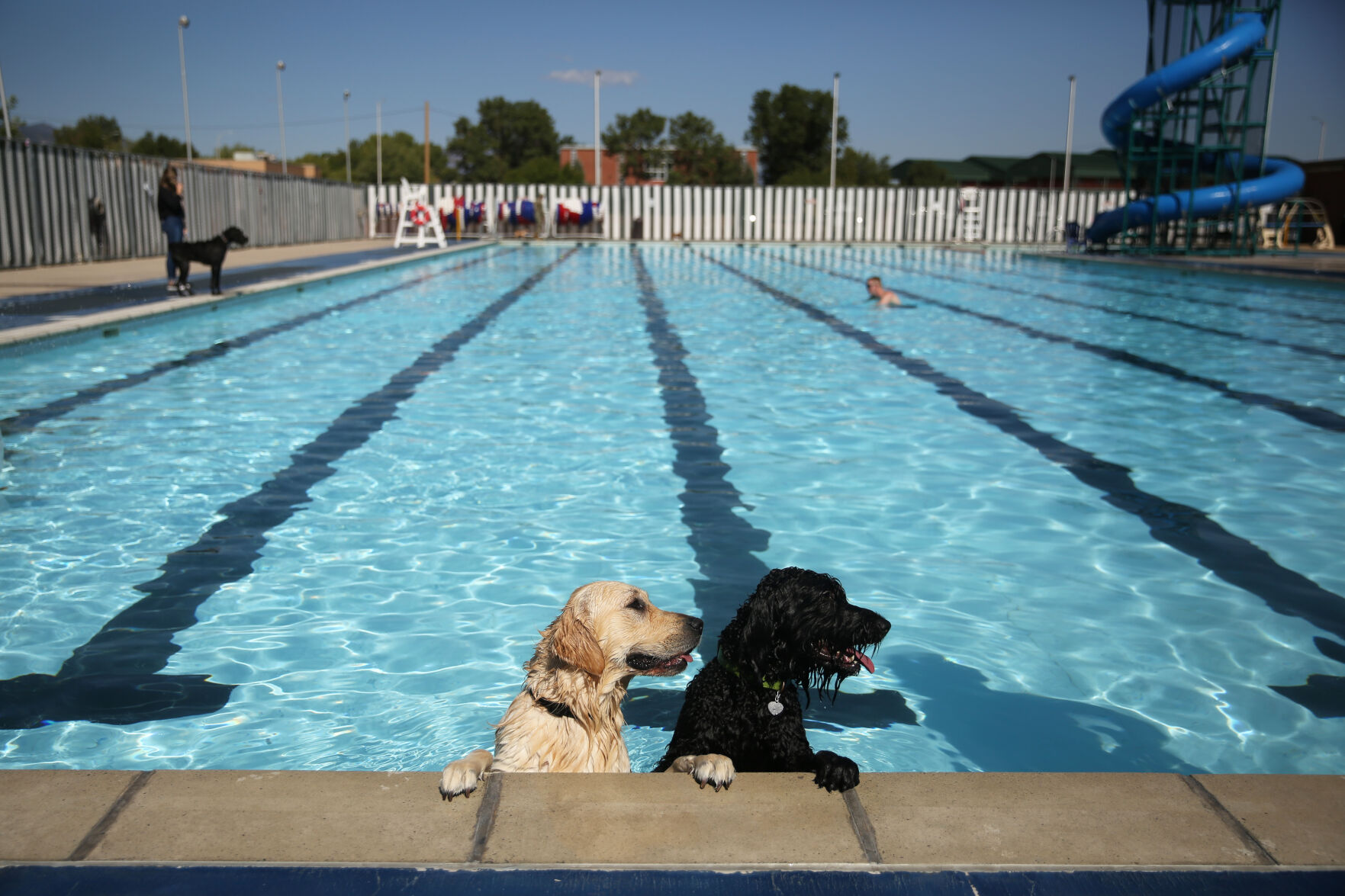 091320-news-dogsplash 18.jpg